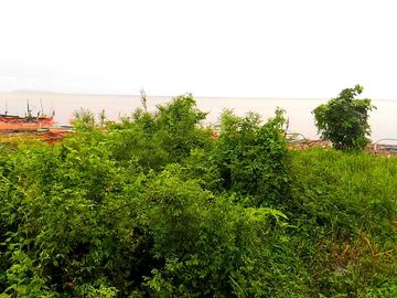 For Sale Vacant Land With Beach front lot Facing Manila Bay Tanza Cavite