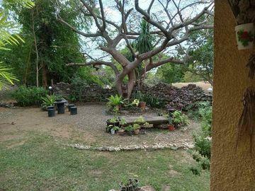 For Sale: Furnished & Relaxing 3-Bedroom House and Lot in Calatagan, Batangas
