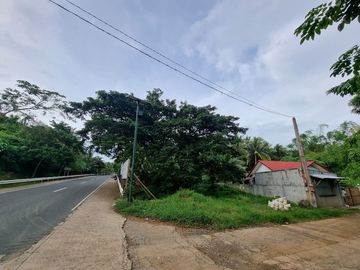 House For Sale in Unisan Quezon, Along the Hi-way with Ready Store Improvements