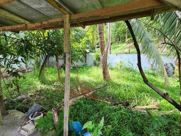 House For Sale in Unisan Quezon, Along the Hi-way with Ready Store Improvements