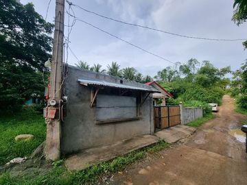 House For Sale in Unisan Quezon, Along the Hi-way with Ready Store Improvements