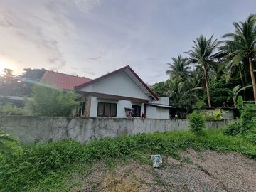 House For Sale in Unisan Quezon, Along the Hi-way with Ready Store Improvements