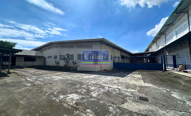 FOR SALE: Prime Industrial Land Across NAIA and along C5 Extension, Paranaque