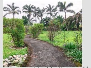 Lot for Sale ( Comes with a house) / Bay City, Laguna near UP Los Baños