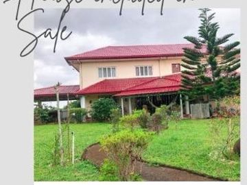 Lot for Sale ( Comes with a house) / Bay City, Laguna near UP Los Baños
