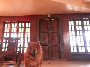 Lot for Sale ( Comes with a house) / Bay City, Laguna near UP Los Baños