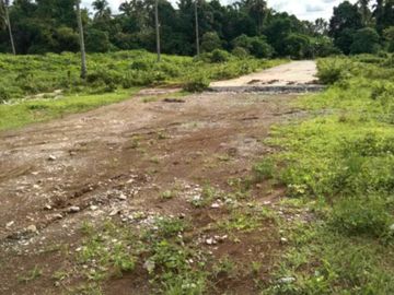 Lot For Sale at Indang Cavite along East West Road