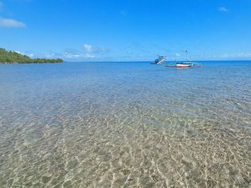 Beachfront with farmland