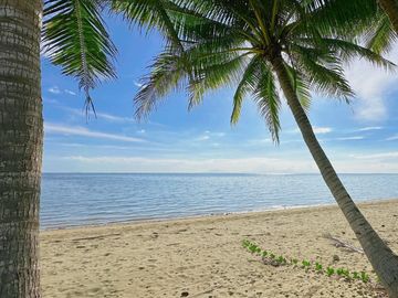 Beachfront with farmland