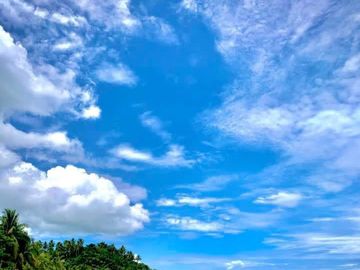 Beachfront with farmland