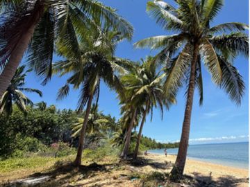 Beachfront with farmland