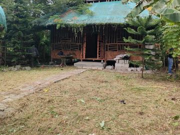 2 Bedroom Bamboo House with Loft for Rent Daily Php800/Sale Php1.3 M (300 Sq M -Clean Title)