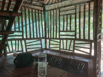 2 Bedroom Bamboo House with Loft for Rent Daily Php800/Sale Php1.3 M (300 Sq M -Clean Title)