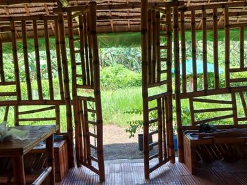 2 Bedroom Bamboo House with Loft for Rent Daily Php800/Sale Php1.3 M (300 Sq M -Clean Title)