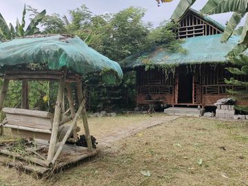 2 Bedroom Bamboo House with Loft for Rent Daily Php800/Sale Php1.3 M (300 Sq M -Clean Title)