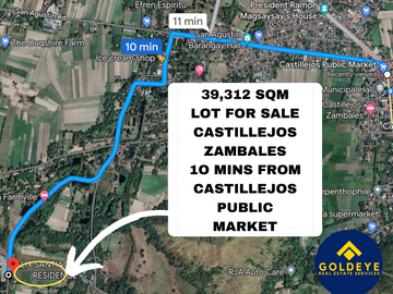 39,312 Sqm Agricultural Lot For Sale in Castillejos Zambales Along Main Road
