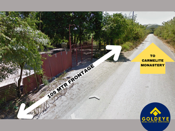 39,312 Sqm Agricultural Lot For Sale in Castillejos Zambales Along Main Road