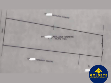 39,312 Sqm Agricultural Lot For Sale in Castillejos Zambales Along Main Road