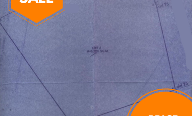 For Sale 6,200 sqm Vacant Lot in South Drive, Baguio City, Benguet