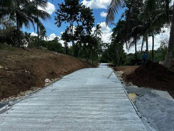 Alex Riverside Hills - Leisure Farm Residential Lot (with access to natural river), near East-West Road
