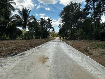 Alex Riverside Hills - Leisure Farm Residential Lot (with access to natural river), near East-West Road