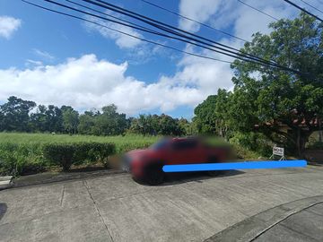 Lot For Sale in Town and country Windsor Talisay City Negros Occidental