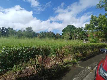 Lot For Sale in Town and country Windsor Talisay City Negros Occidental