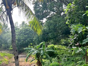 Big Farm with House in Pundaquit, San Antonio, Zambales