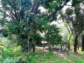 Big Farm with House in Pundaquit, San Antonio, Zambales