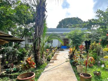 Big Farm with House in Pundaquit, San Antonio, Zambales