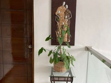Casa Magna 22 hectares LA Orriental Mindoro