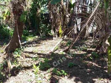 Agricultural Land for Sale in Barangay San Vicente near Biluso Silang Cavite