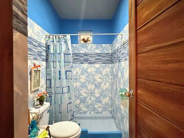 For Sale: Two Storey House & Lot in DMCI Homes Willow Park Homes Cabuyao, Laguna