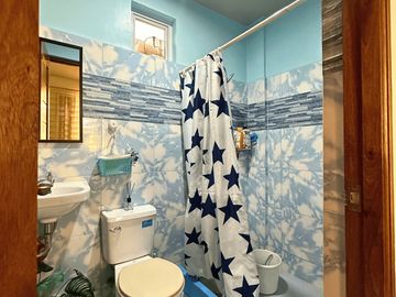 For Sale: Two Storey House & Lot in DMCI Homes Willow Park Homes Cabuyao, Laguna