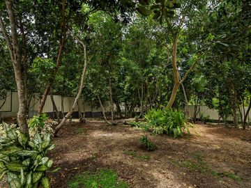 For Sale House Fully Furnished in Dauis Panglao island Bohol with Swimming Pool