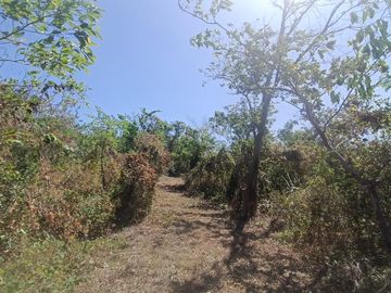 3.8 Has Retirement/Investment/Farmlot DRT, Bulacan