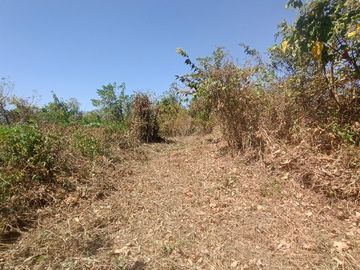 3.8 Has Retirement/Investment/Farmlot DRT, Bulacan