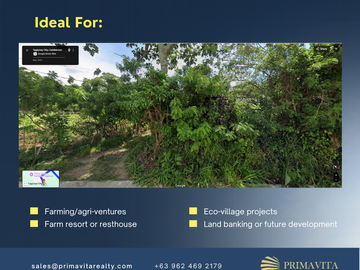 For Sale: Prime Lot in Mangas, Alfonso, Cavite – Ideal for Residential or Farm Development