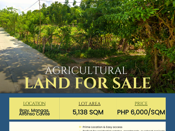 For Sale: Prime Lot in Mangas, Alfonso, Cavite – Ideal for Residential or Farm Development