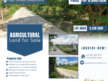 For Sale: Prime Lot in Mangas, Alfonso, Cavite – Ideal for Residential or Farm Development