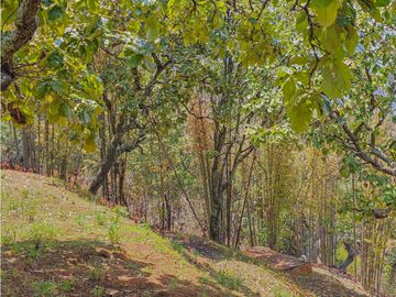 CASA EN VENTA CON VISTAS AL ALGO EN VALLE DE BRAVO