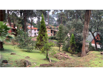 CABAÑA EN RENTA EN AVANDARO