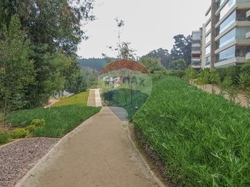 ¡Vive rodeado de naturaleza y confort en Reñaca!