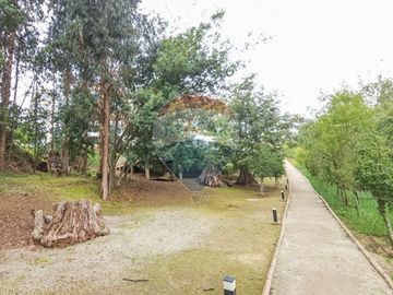 ¡Vive rodeado de naturaleza y confort en Reñaca!