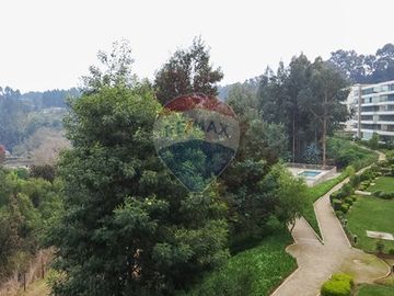 ¡Vive rodeado de naturaleza y confort en Reñaca!
