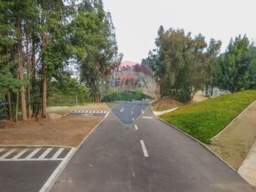 ¡Vive rodeado de naturaleza y confort en Reñaca!