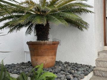 Casa en venta en cerrada, en Hacienda de las Palmas estilo Barragán, Huixquilucan Estado de México