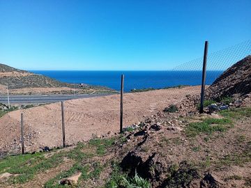 Venta de parcela de 5.000 m2, con dos casas, en La Serena.