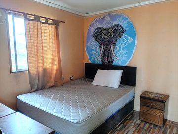 Venta de parcela de 5.000 m2, con dos casas, en La Serena.