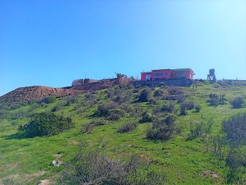 Venta de parcela de 5.000 m2, con dos casas, en La Serena.